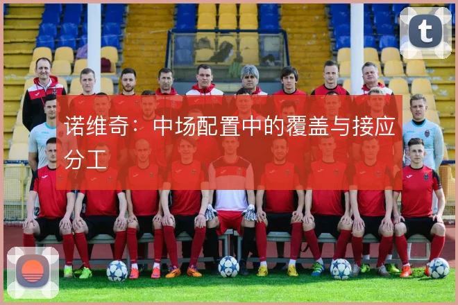 诺维奇：中场配置中的覆盖与接应分工